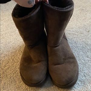 Chocolate short Uggs